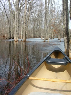 Early Spring Canoeing in the trees